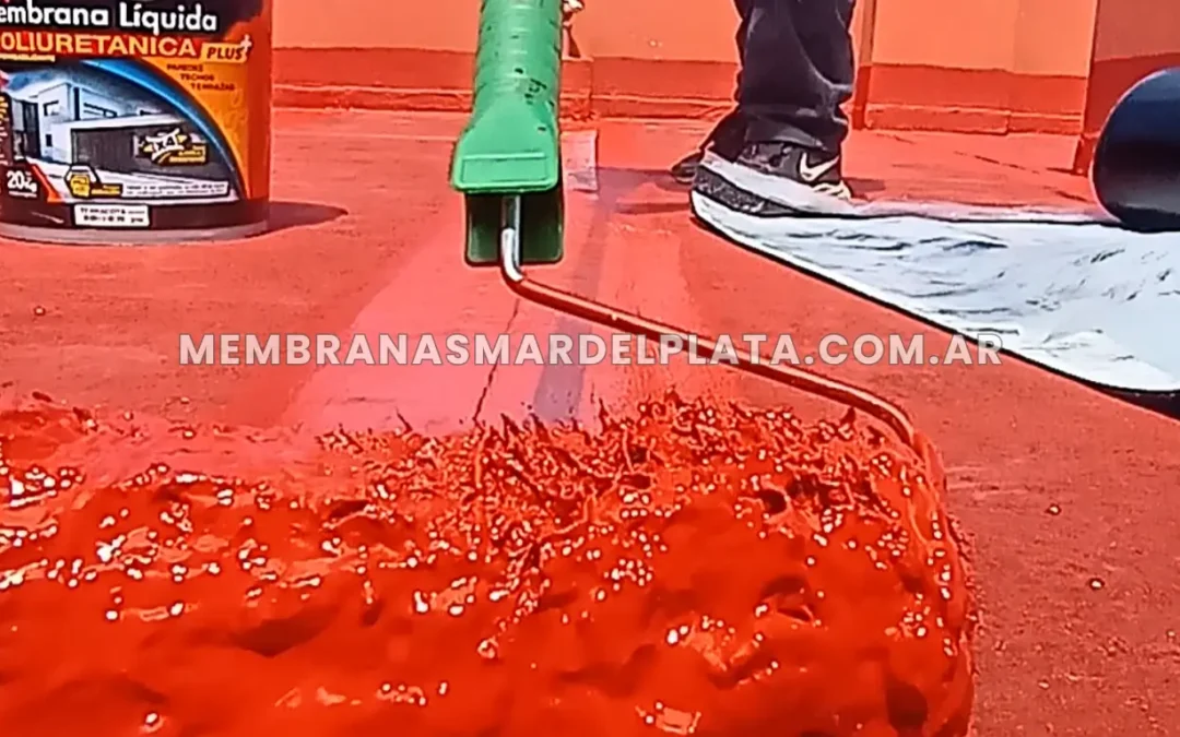 Colocación de membrana liquida en techos y terrazas de Mar del Plata